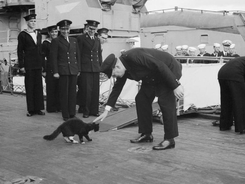 HMS Prince of Wales gemisini ziyaret eden Winston Churchill geminin kedisi Blackie ile birlikte. 